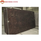 Dobrze wypolerowana natura India Tan Brown Granit Ston Płytki Standardowy lub niestandardowy rozmiar
