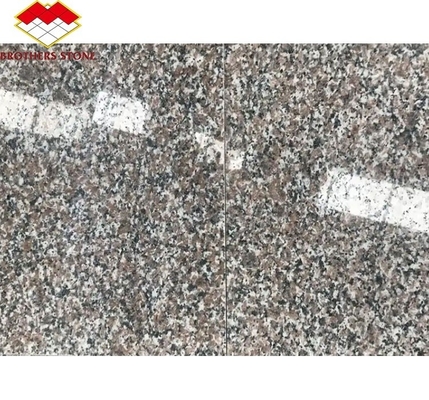 Modern G664 Dostawcy płyty granitowe 60x60 Porrno płytki granitowe do projektowania graficznego parku