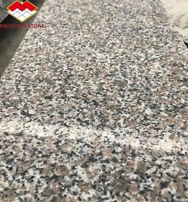 Modern G664 Dostawcy płyty granitowe 60x60 Porrno płytki granitowe do projektowania graficznego parku