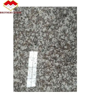 Modern G664 Dostawcy płyty granitowe 60x60 Porrno płytki granitowe do projektowania graficznego parku