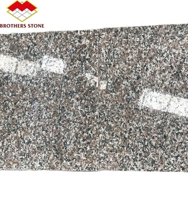 Modern G664 Dostawcy płyty granitowe 60x60 Porrno płytki granitowe do projektowania graficznego parku