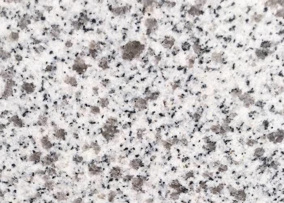 Naturalny popularny kamelia biały granit G603 na płytki podłogowe i schody