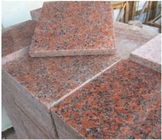 Liść klonu Czerwony granitowy kamień / G562 Granit Płytka CE Zatwierdzone